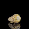 Iced Out Hip Hop Ring Made In 18 / 14 / 10 KT Gold Embellished With Shinny Moissanite Diamonds For Birthday And Hip Hop Lover As A Gift