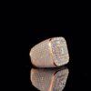 Iced Out Princess Diamond Hip Hop Ring Made In 18 / 14 / 10 KT Gold Studded With Shinny Moissanite Diamonds For Birthday And Memorial Gift