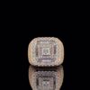 Iced Out Princess Diamond Hip Hop Ring Made In 18 / 14 / 10 KT Gold Studded With Shinny Moissanite Diamonds For Birthday And Memorial Gift