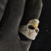 Luxury Iced Out Skull Ring Made In 18/14/10 KT Gold Embellished With Shinny Moissanite Diamonds For Birthday And Memorial Gift Unisex Ring